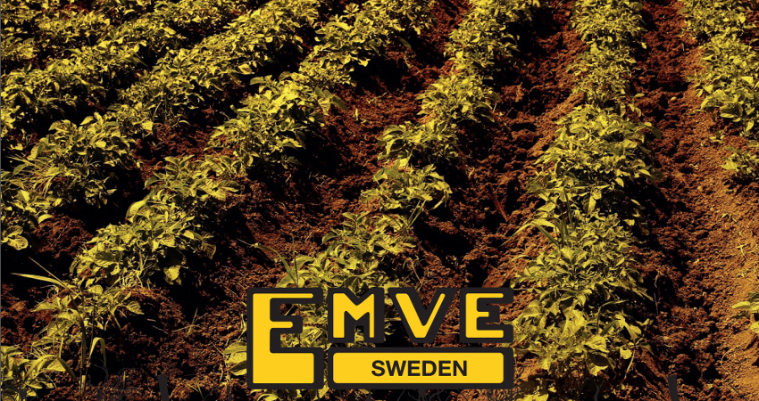 EMVEhomebannerEdit